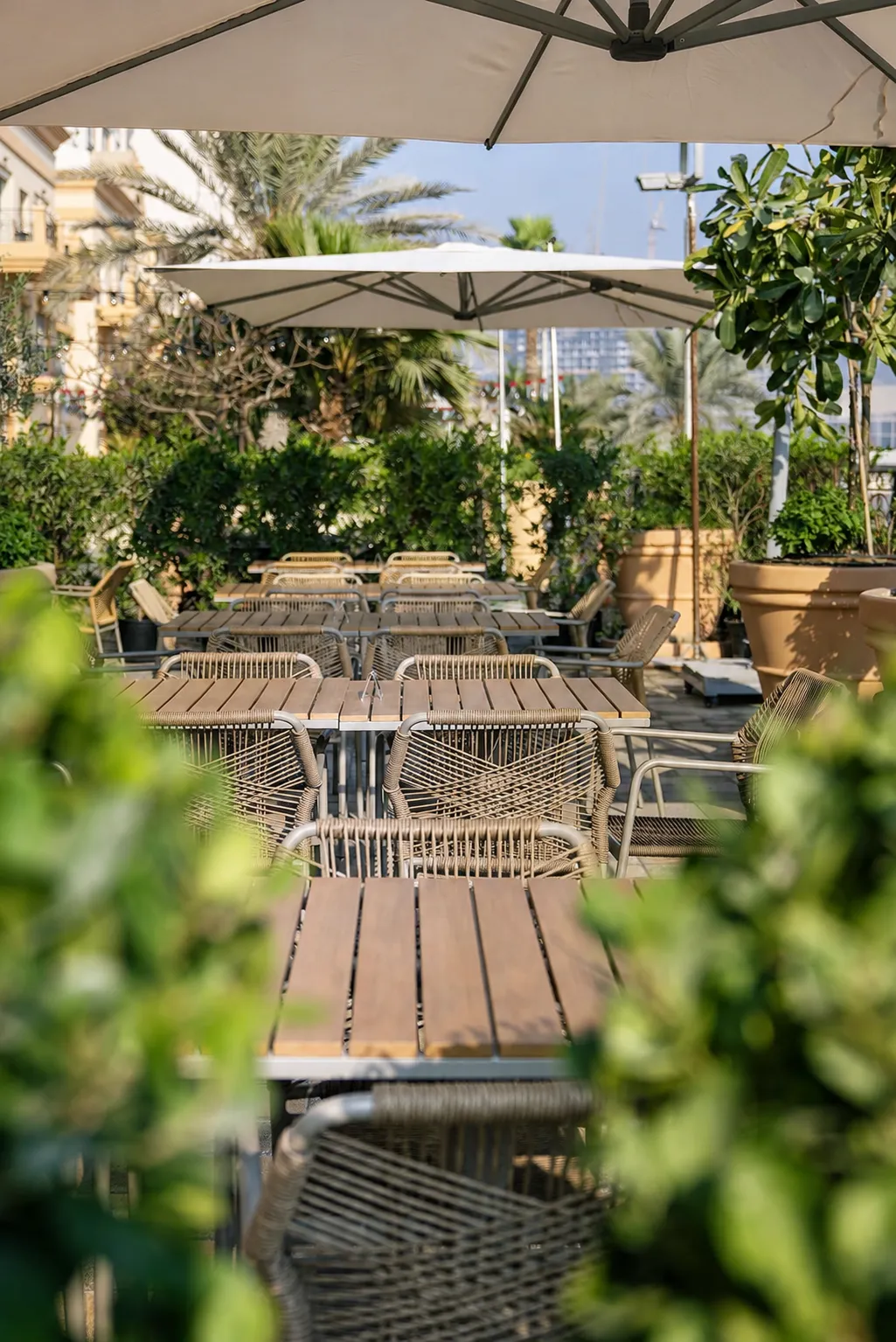 Tables and woven chairs on the Olive & Thyme terrace, shaded by parasols and surrounded by greenery